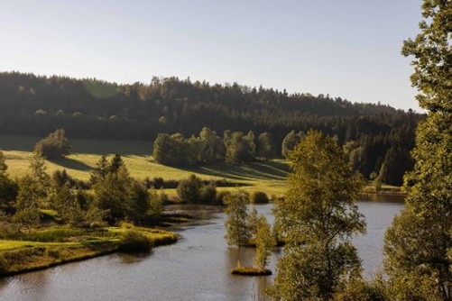 Uitzicht vanuit het restaurant Moulin de l’Etang